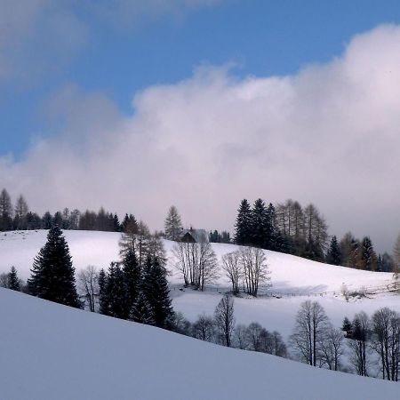 Urlaub Im Zirbenland Villa Obdach Exterior foto