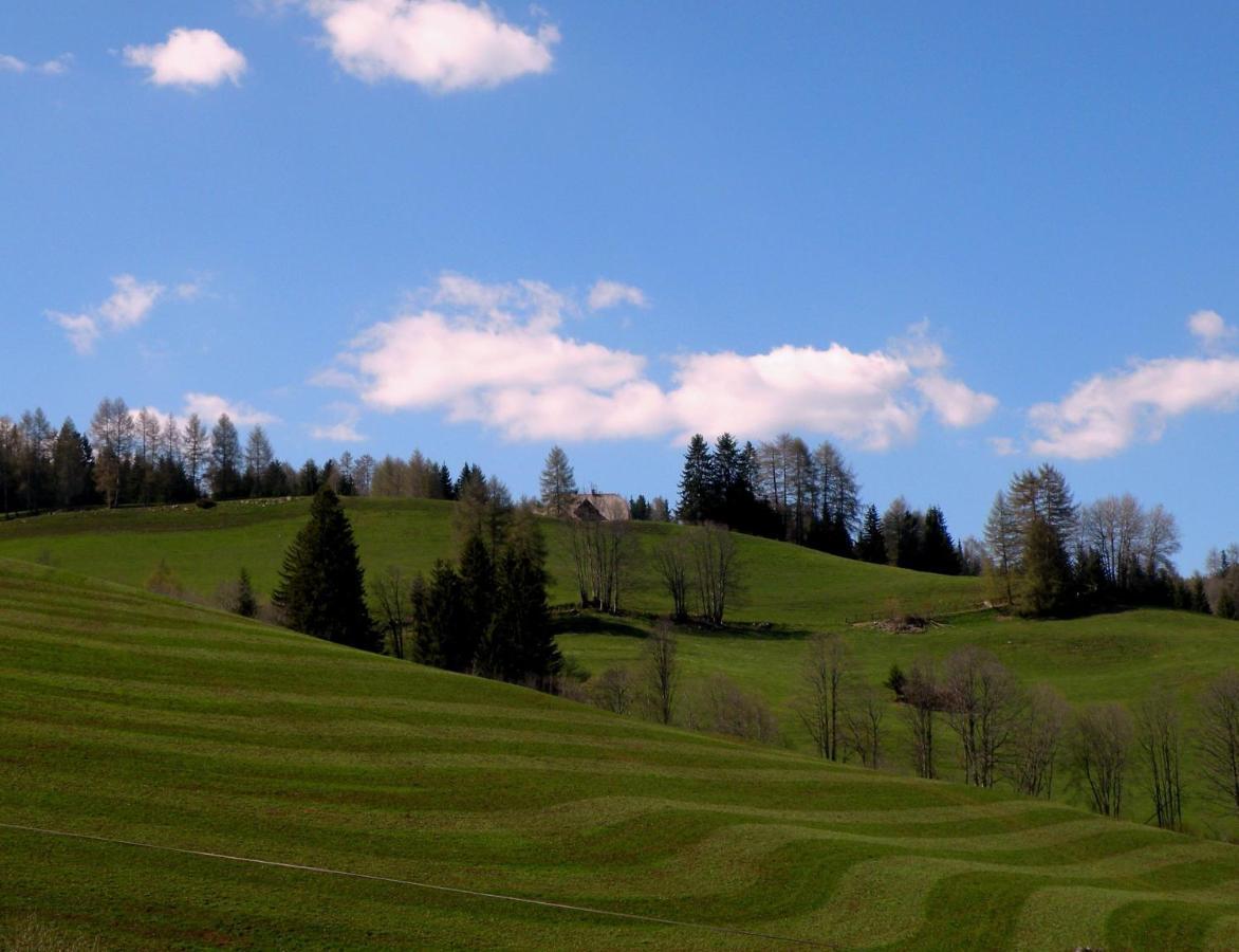 Urlaub Im Zirbenland Villa Obdach Exterior foto