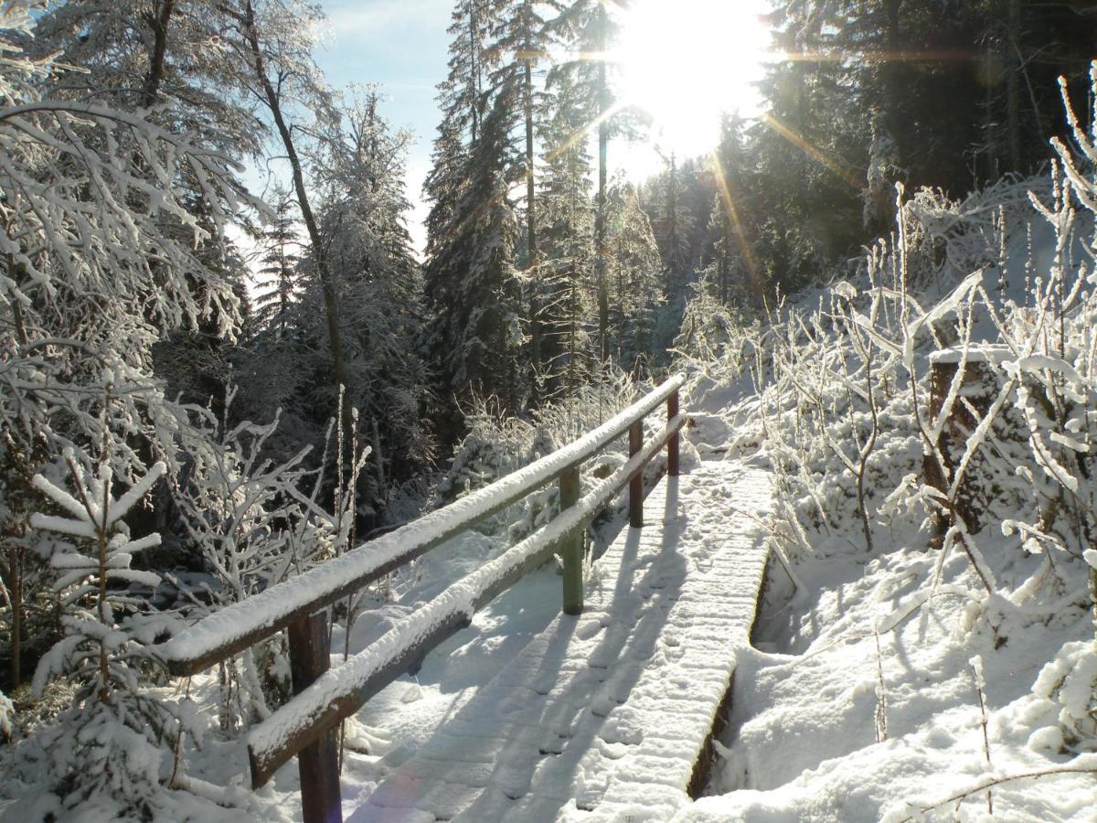 Urlaub Im Zirbenland Villa Obdach Exterior foto