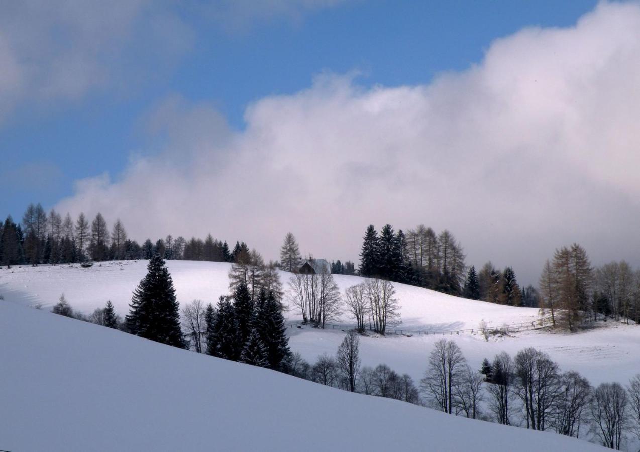 Urlaub Im Zirbenland Villa Obdach Exterior foto