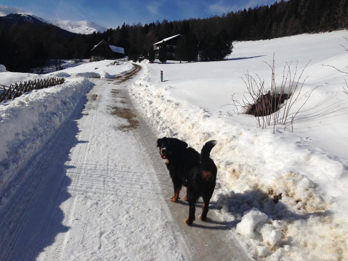 Urlaub Im Zirbenland Villa Obdach Exterior foto