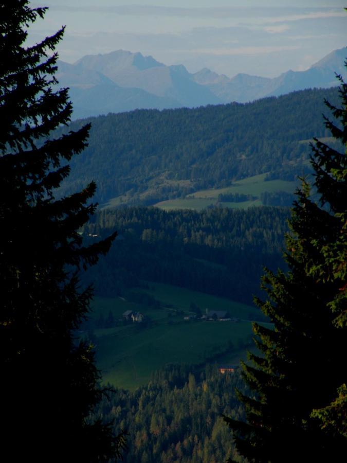 Urlaub Im Zirbenland Villa Obdach Exterior foto