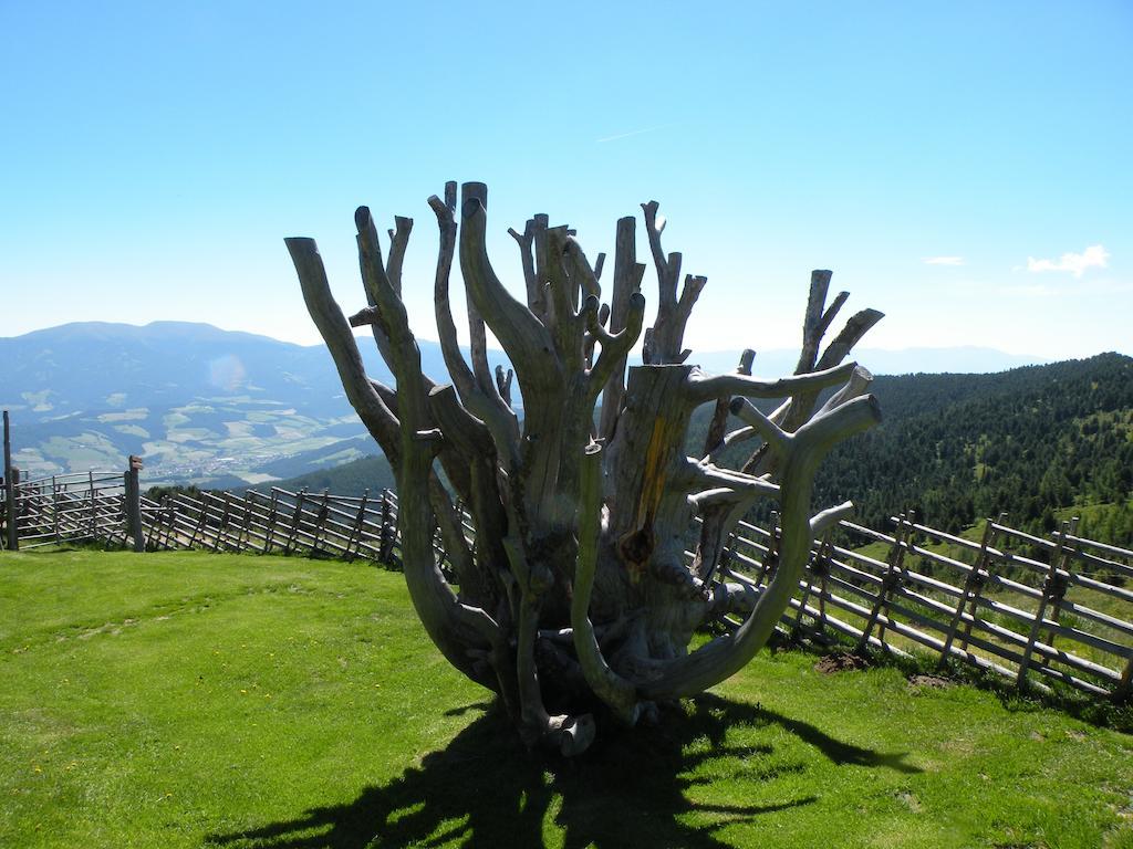 Urlaub Im Zirbenland Villa Obdach Exterior foto